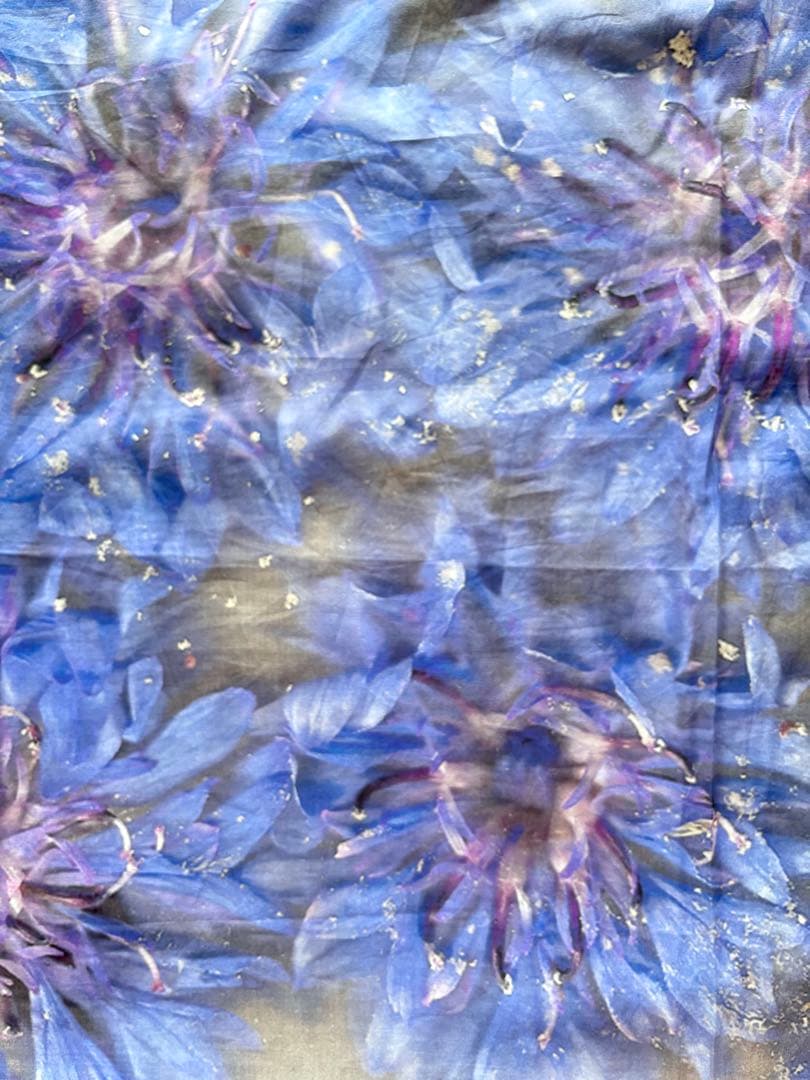 Colomba leddi コロンバレッディ　カーテン