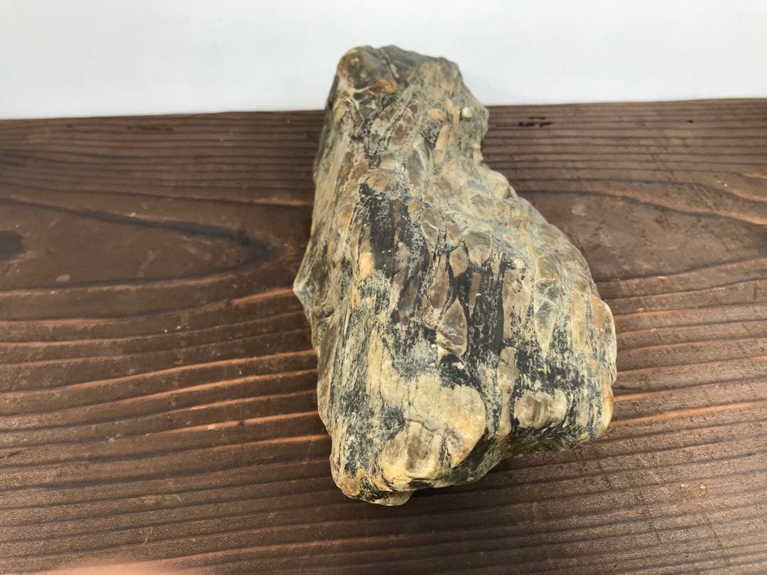 【水石】瀬田川『虎石』乱虎石