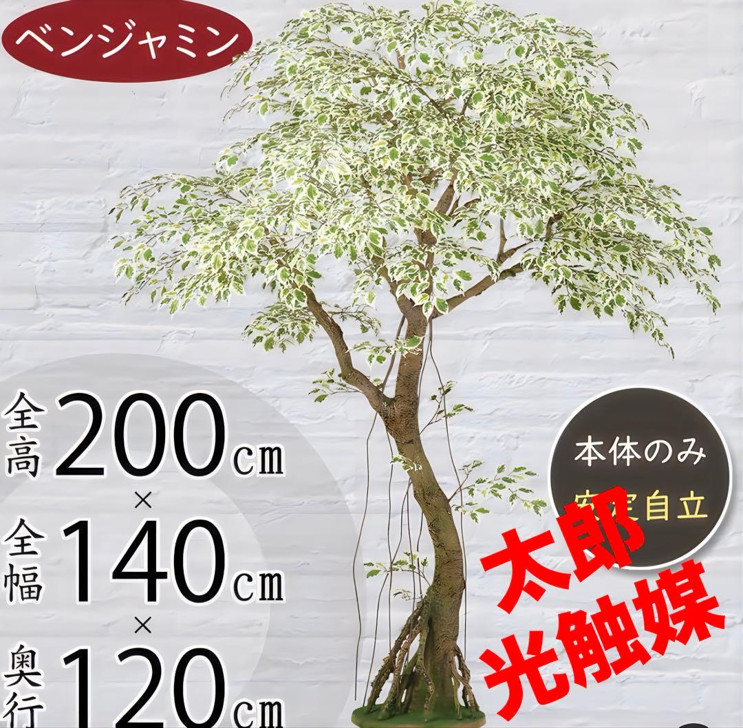 光触媒　人工観葉植物　フェイクグリーン　ベンジャミナスターライトコアッド