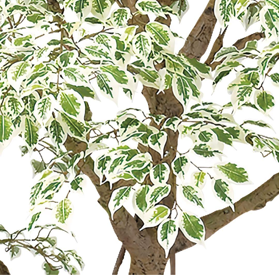 光触媒　人工観葉植物　フェイクグリーン　ベンジャミナスターライトコアッド