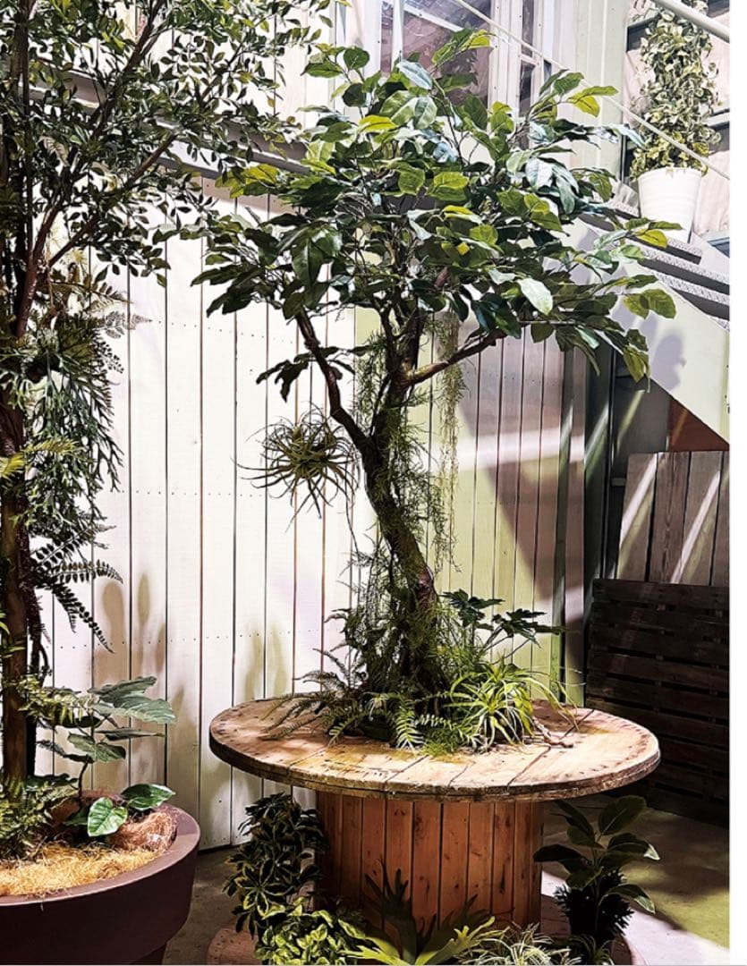 光触媒　人工観葉植物　フェイクグリーン　ベンジャミナスターライトコアッド