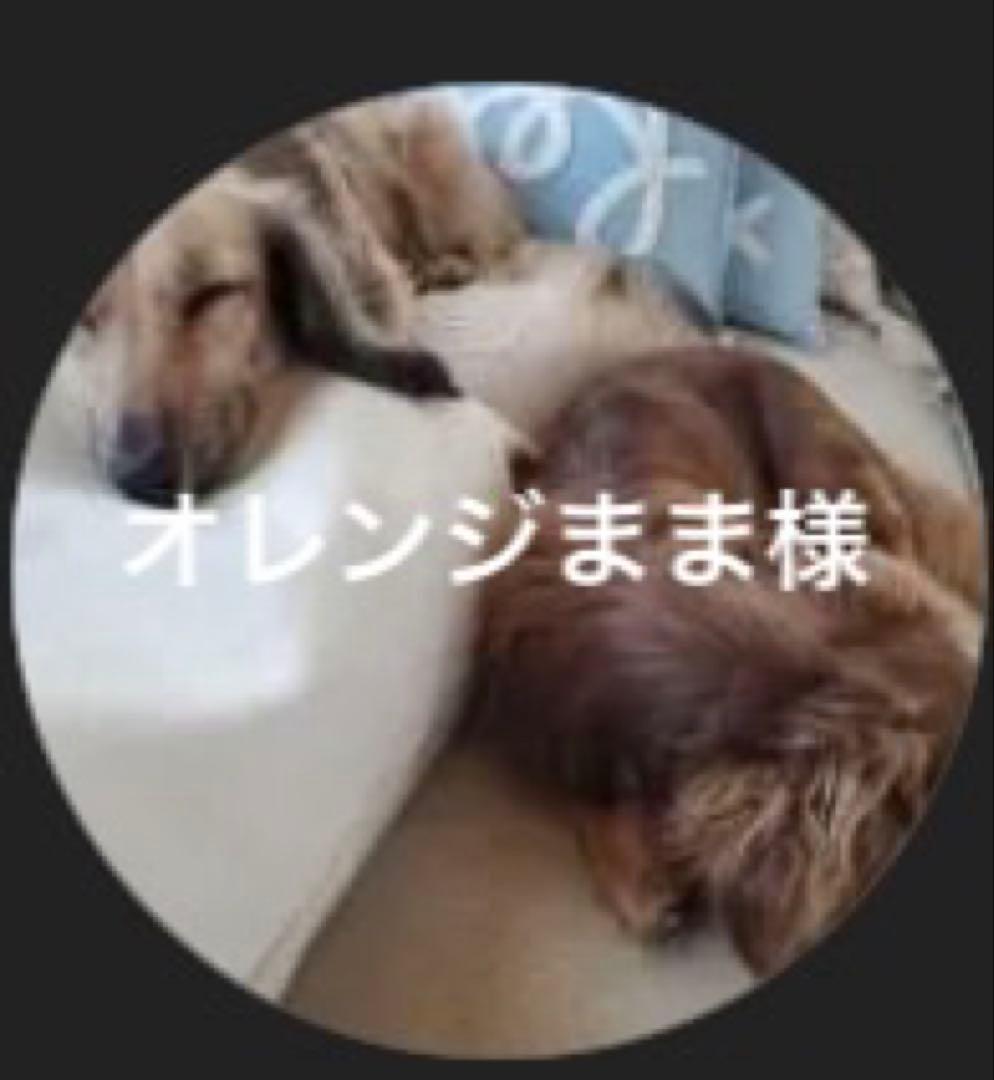オレンジまま様