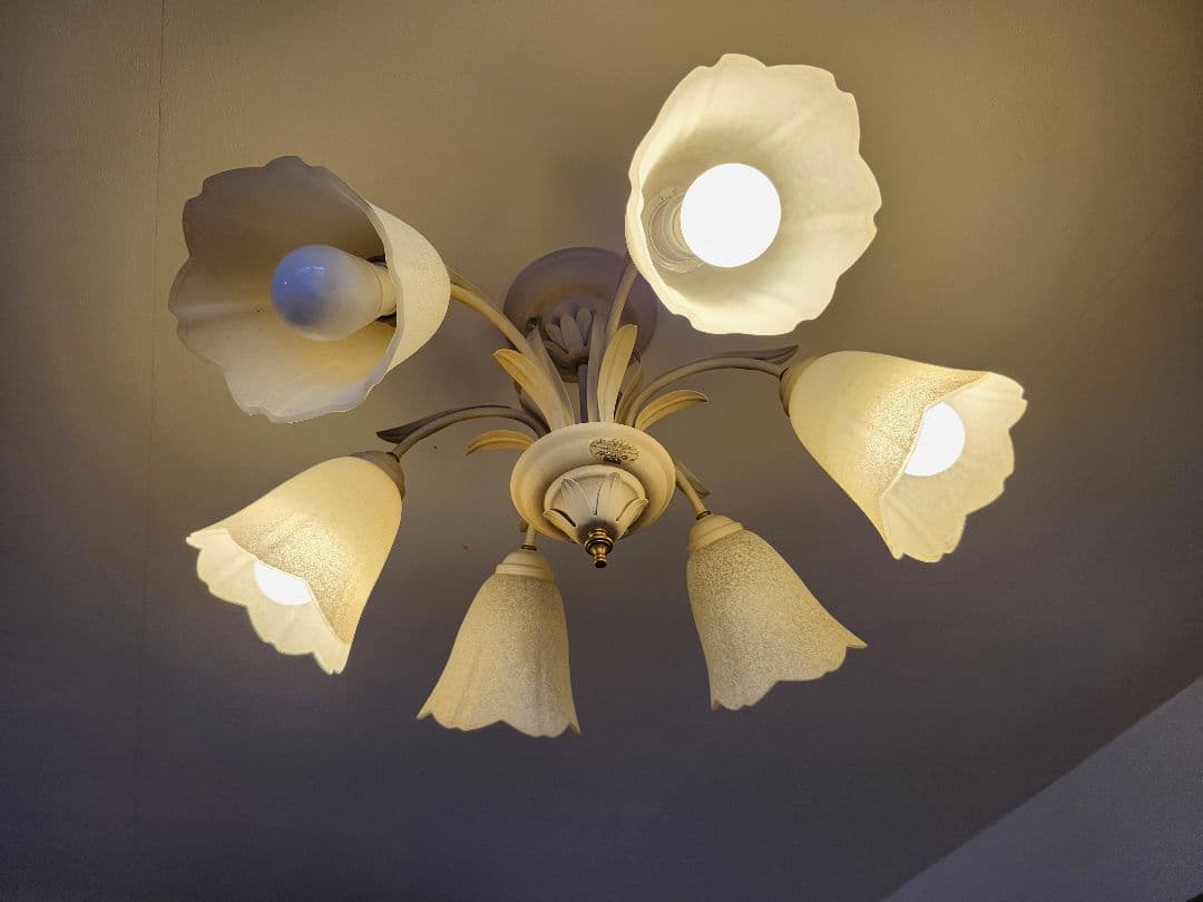 フラワー型シェード 6灯シーリングライト/シャンデリア