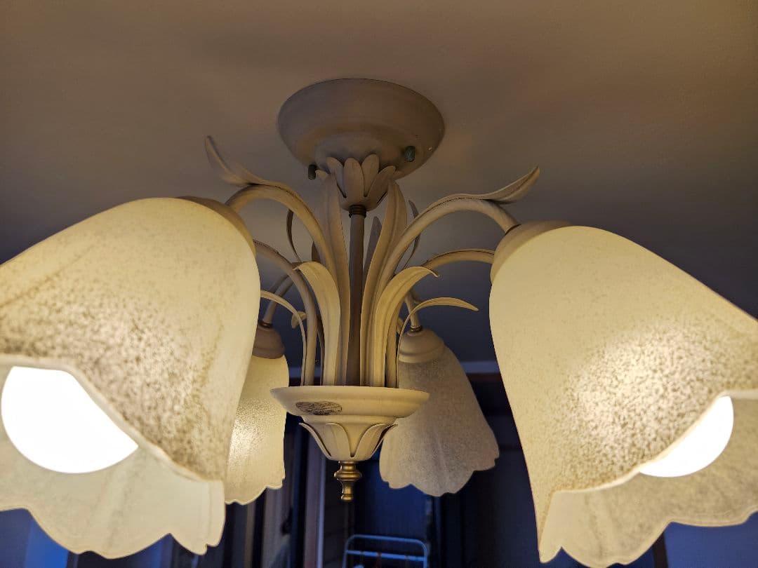 フラワー型シェード 6灯シーリングライト/シャンデリア