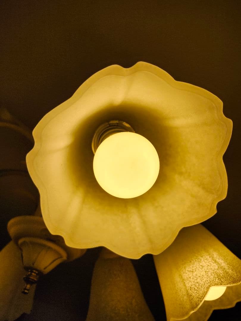 フラワー型シェード 6灯シーリングライト/シャンデリア