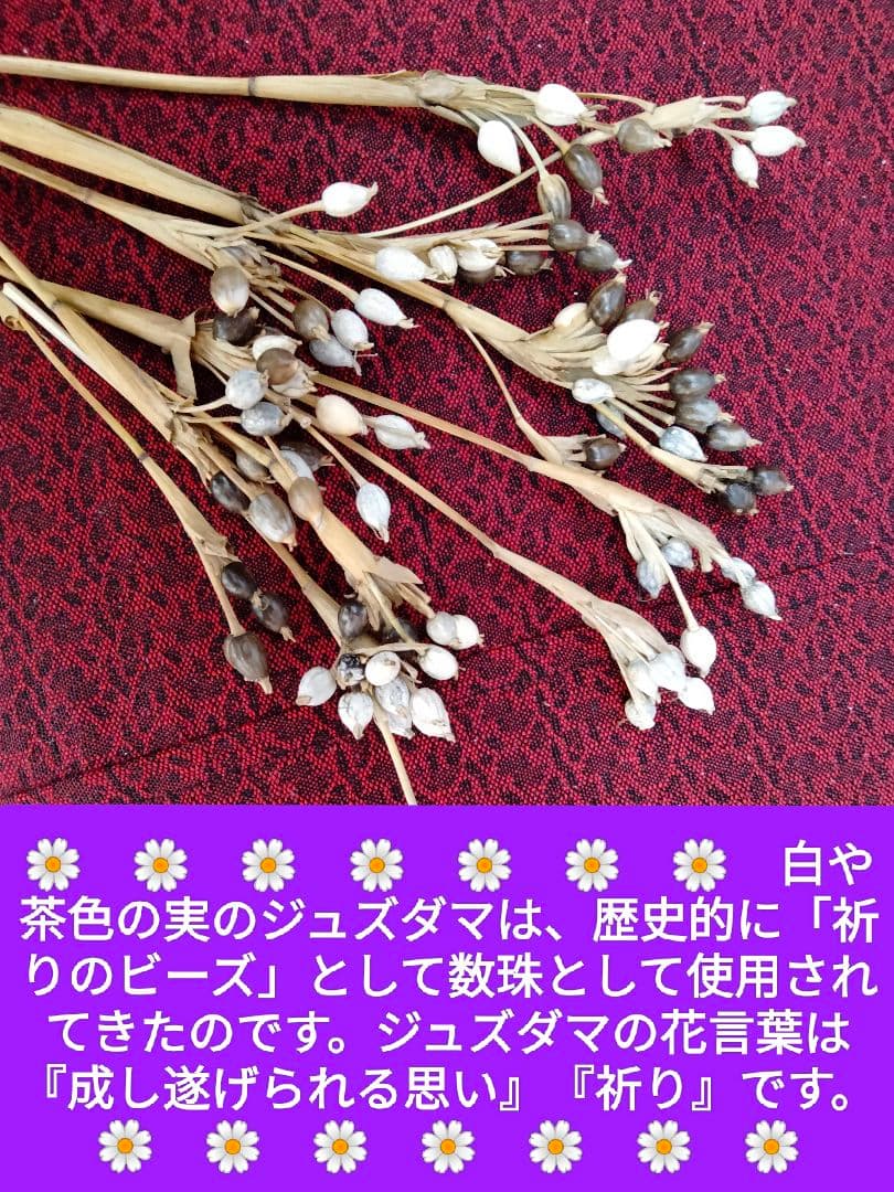 ☘️魔除け　厄除け　☘️❤スワッグ❤ひょっとこ付❤❤似た品を作りたて