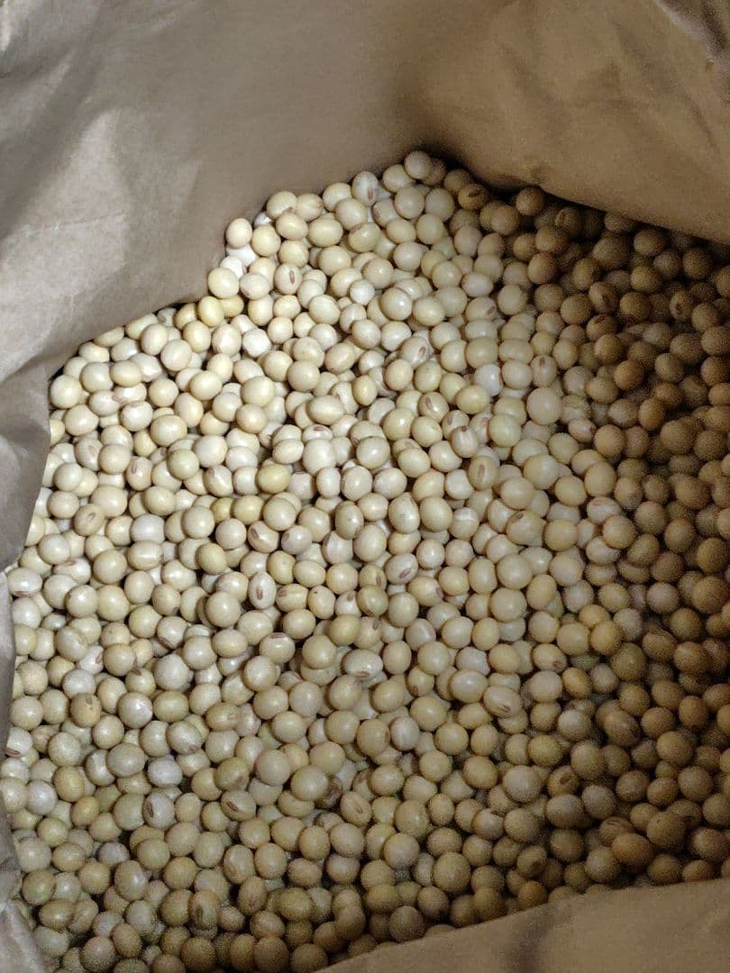 すずはな7年岐阜県産低農薬大豆フクユタカ20キロ