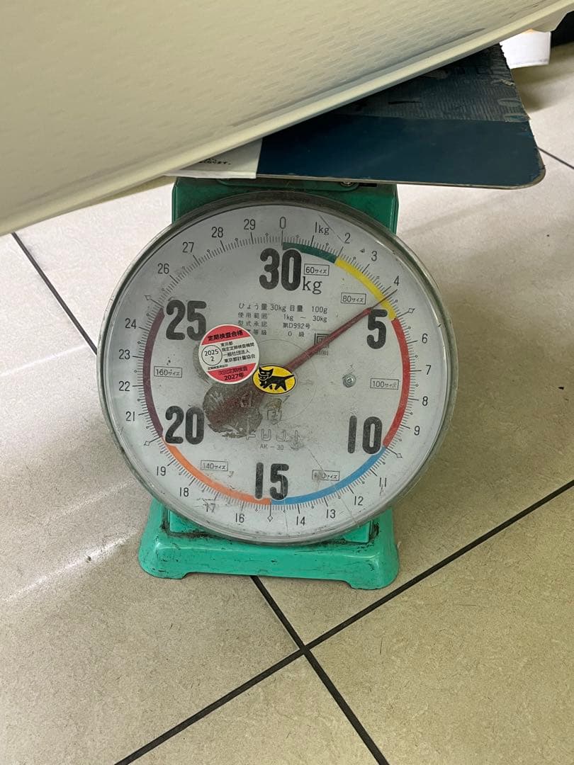 新品DELSEYデルセー スーツケース キャリーケース　ホワイト73L