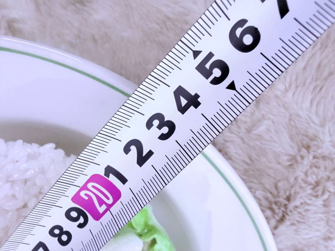 昭和レトロ 海鮮うま煮丼 食品サンプル 中華料理 町中華 直径約23.5cm