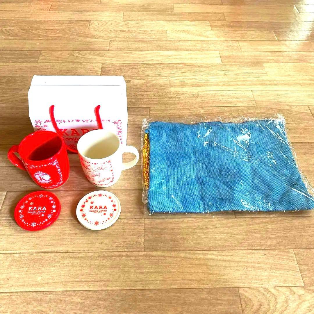 ☆非売品☆KARA限定ツアーグッズセット☆