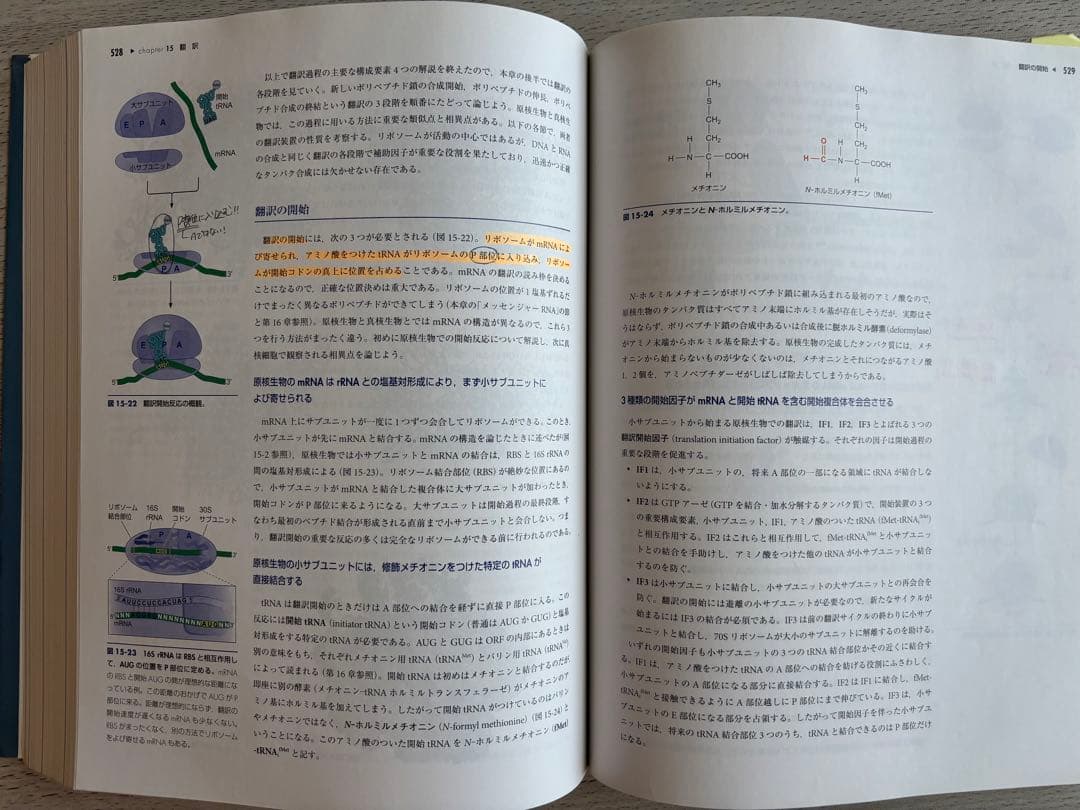 ワトソン　遺伝子の分子生物学　第7版