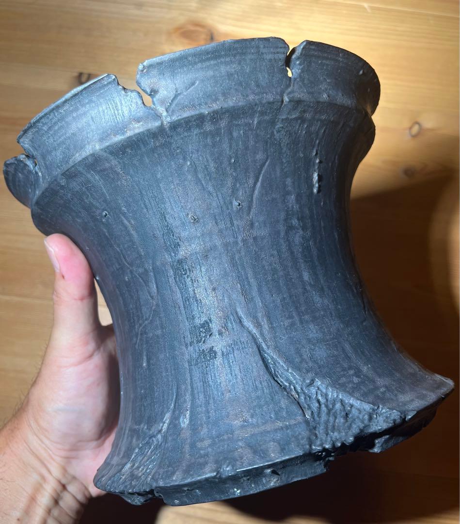 earnest hearts volt 風林火山 特大鉢 検】 パキプス