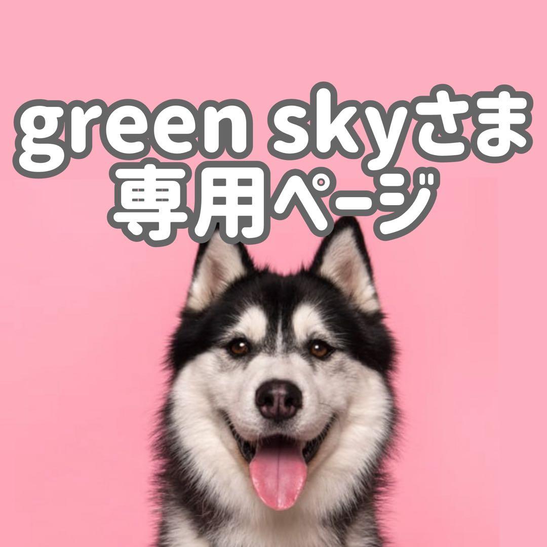 Kサ3.6◯● green skyページ●◯