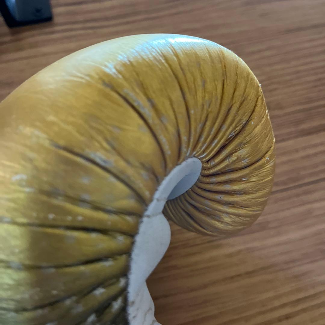 TOP KINGボクシンググローブ 14oz ゴールド/ブラックヘッドギアセット