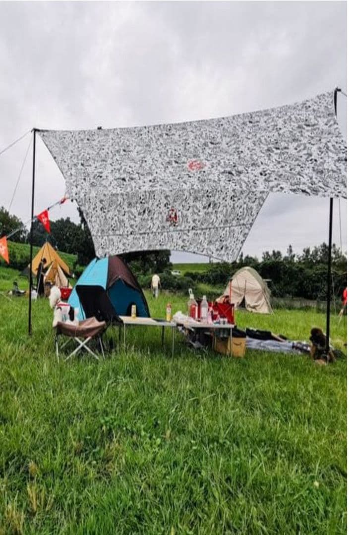 【限定美品】チャムス　ブービーウィングタープ　CHUMS