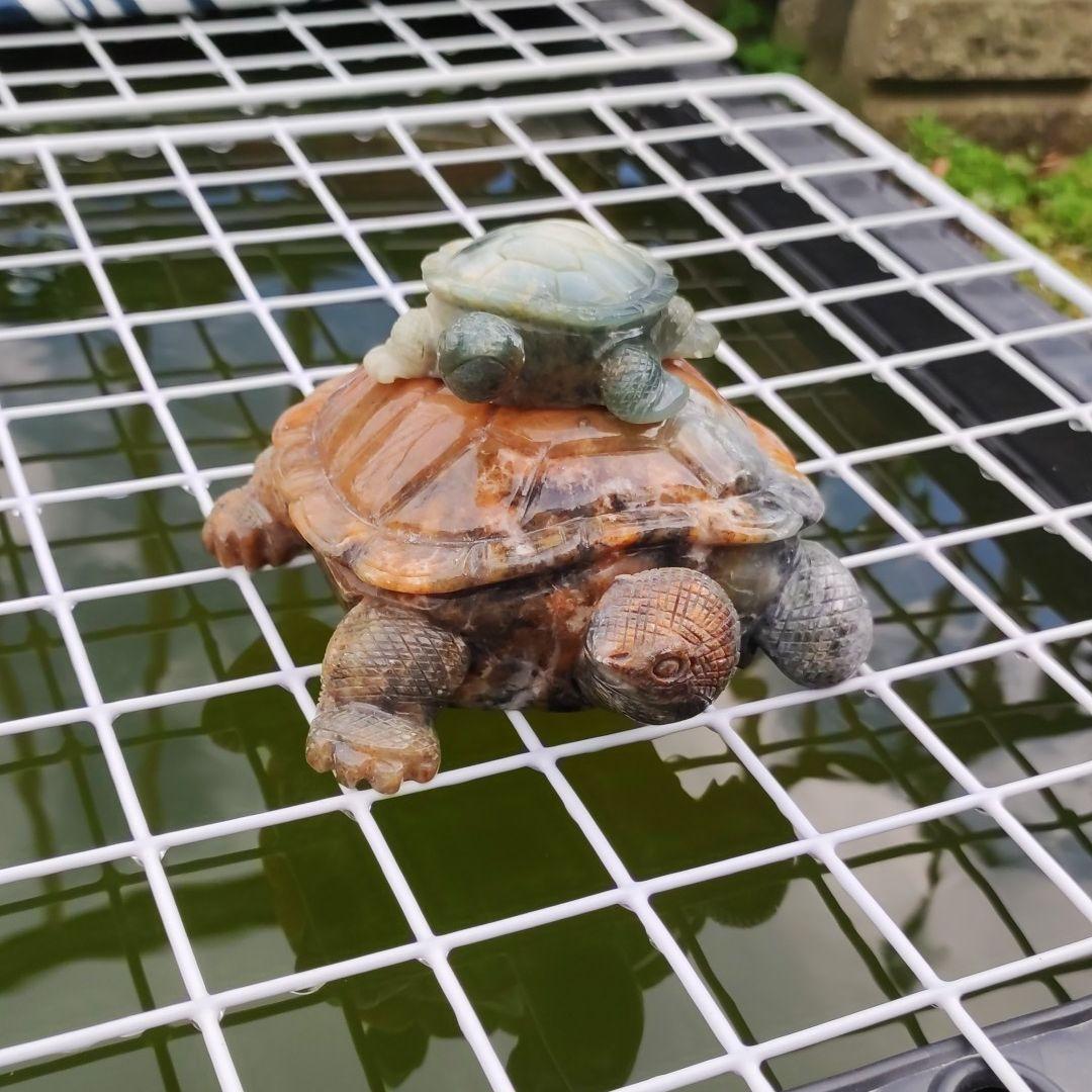 亀　置物　石　台湾　中国　美術