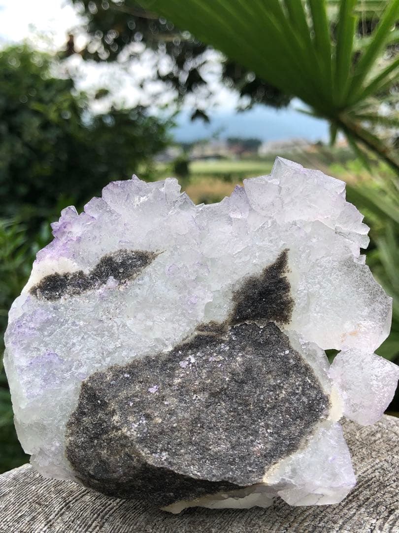 ❤️超レア　214g 綺麗　紫縁　グリーンフローライト　蛍石　クラスター