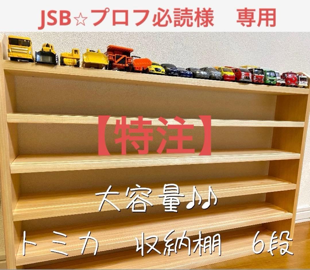 JSB⭐︎プロフ必読　トミカ収納棚6段　大容量　No.196