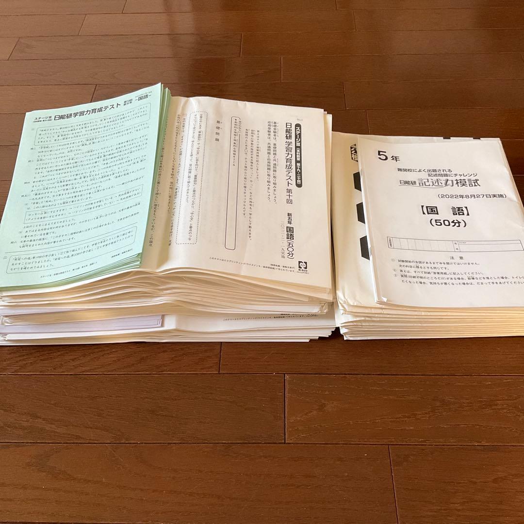 日能研 5年 2022年度　育成+公開+思考力+期間講習+記述力　テスト一式