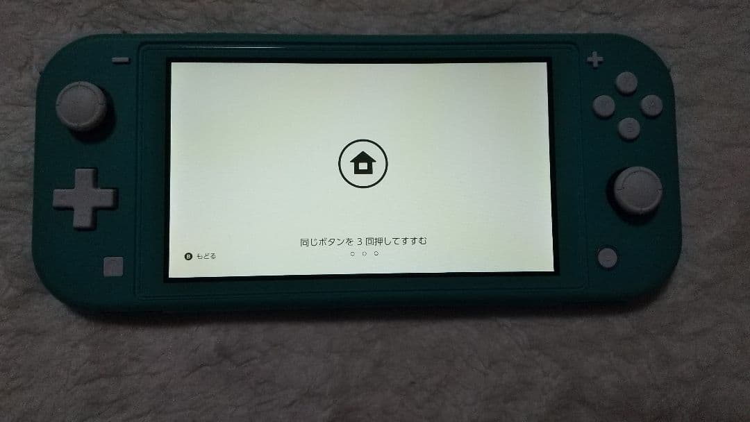 Nintendo Switch Liteターコイズ本体動作品 良品アダプター付属