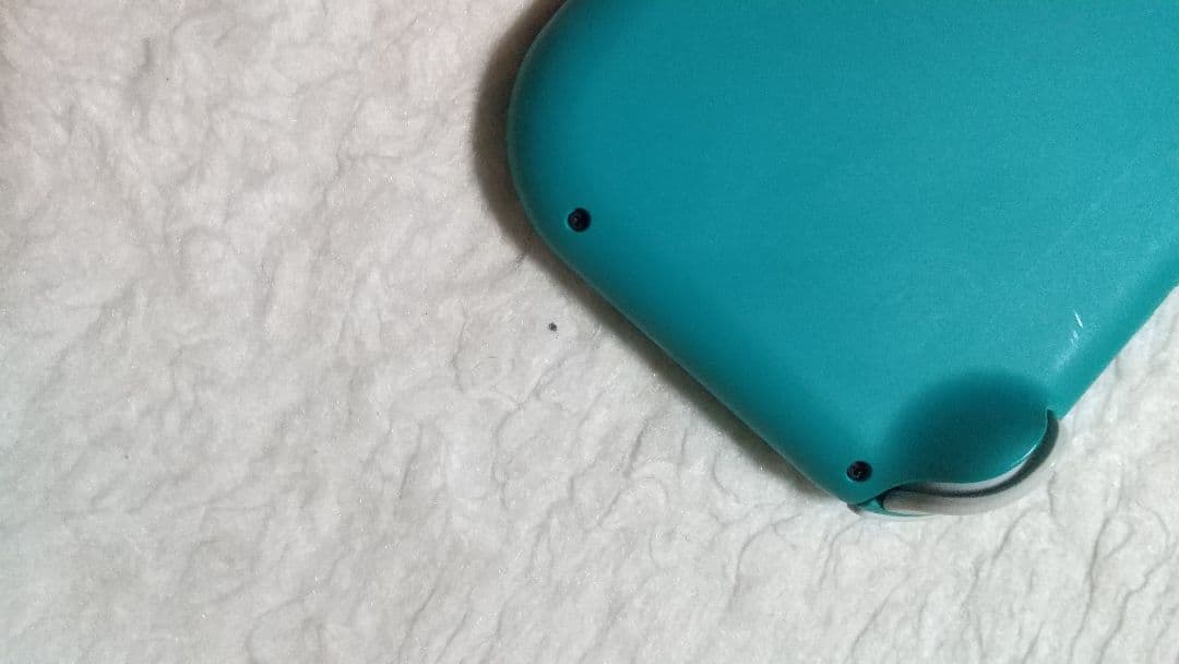 Nintendo Switch Liteターコイズ本体動作品 良品アダプター付属