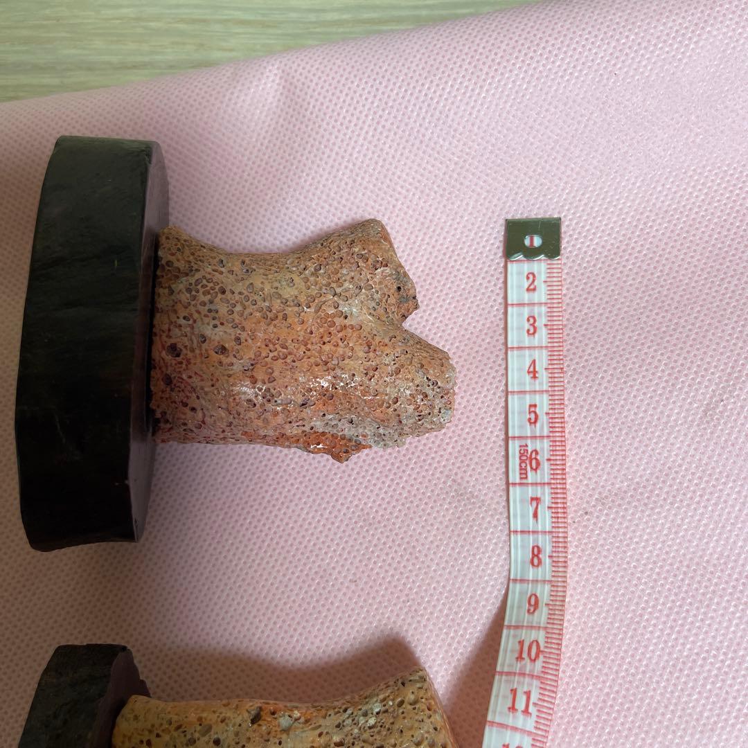 桃サンゴ？　珊瑚風　置き物　2点まとめ売り