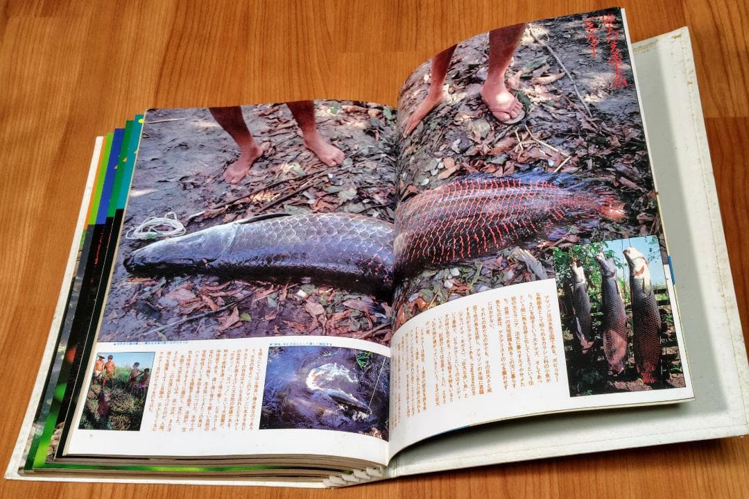 イ*3様 月刊アクアライフ 1980年 2月号～7月 合計6冊 昭和55年