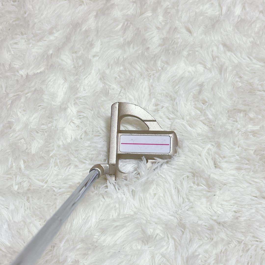 ワールドイーグル FL-01 V2 レディースクラブセット 10本 L 初心者