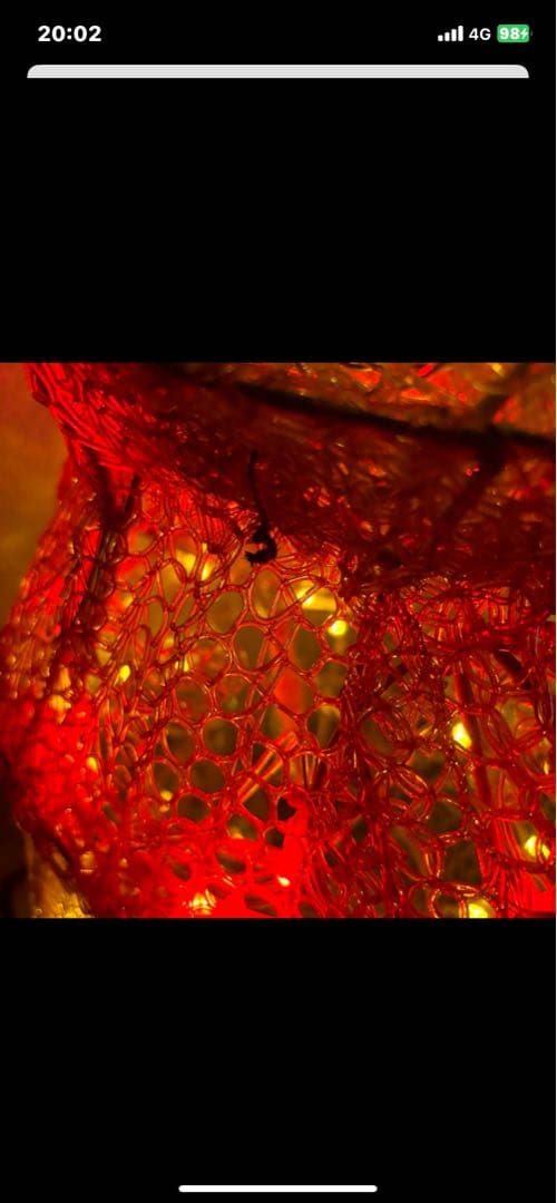 タカショー　LED　3Dモチーフライト　プーさん 大　TD-3D06L