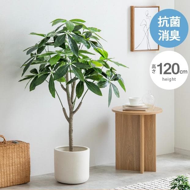 【光触媒/抗菌防臭】人工観葉植物 室内グリーン パキラ 高さ120cm