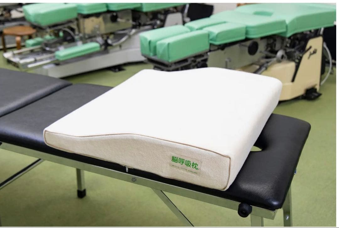 脳呼吸枕(脳脊髄液調整法 宮野博隆)