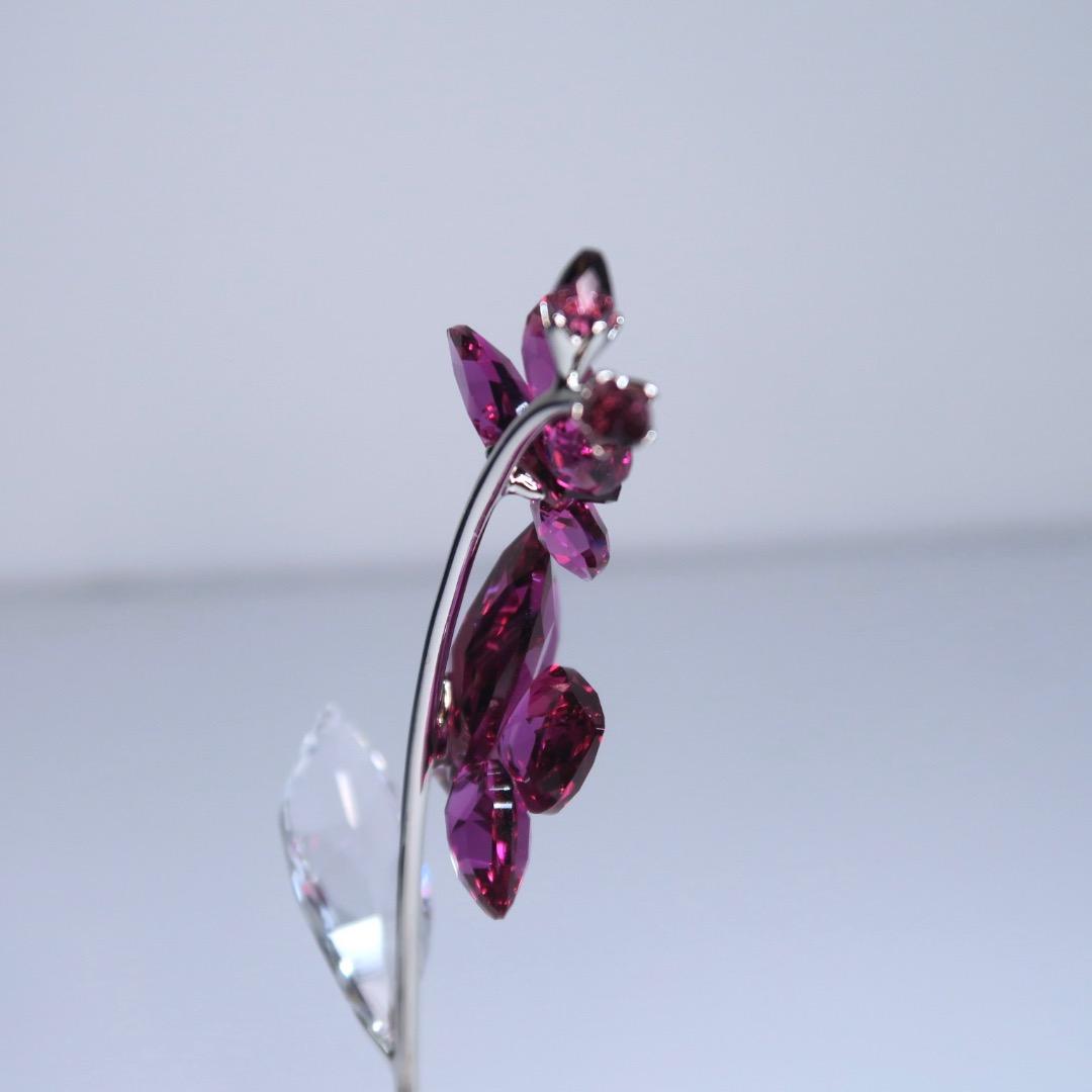 スワロフスキー Swarovski Flower Dreams オーキッド