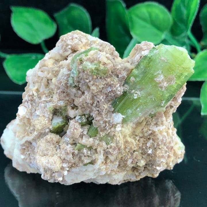 激レアランク！ブラジル産グリーントルマリン結晶原石y1350