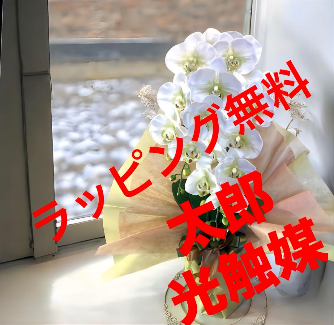 光触媒　人工観葉植物　ウォールグリーン　フェイクグリーン　リアル胡蝶蘭70hg