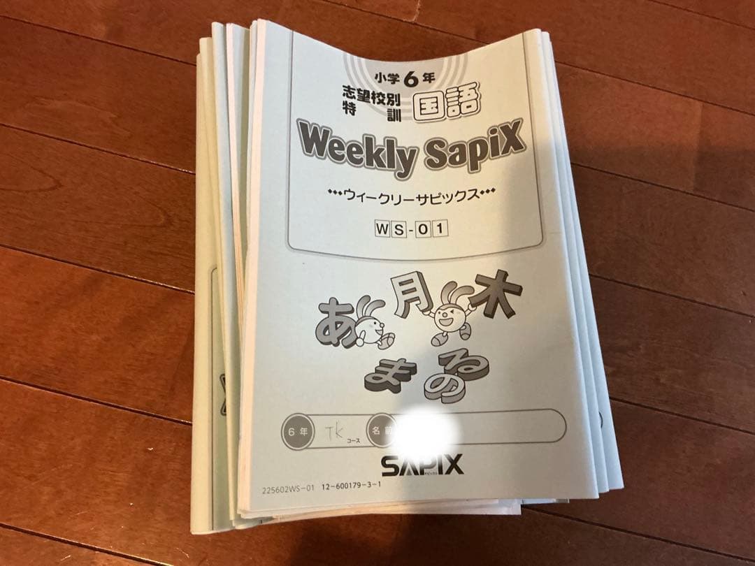 SAPIX 国語　中学受験　最新　2026年度　デイリー　教材