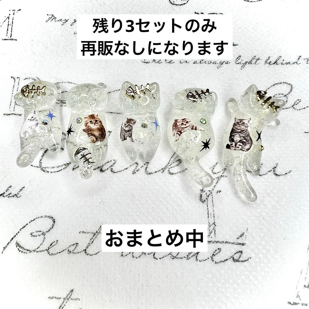 キラキラ猫ちゃん　お魚　猫　5個セット