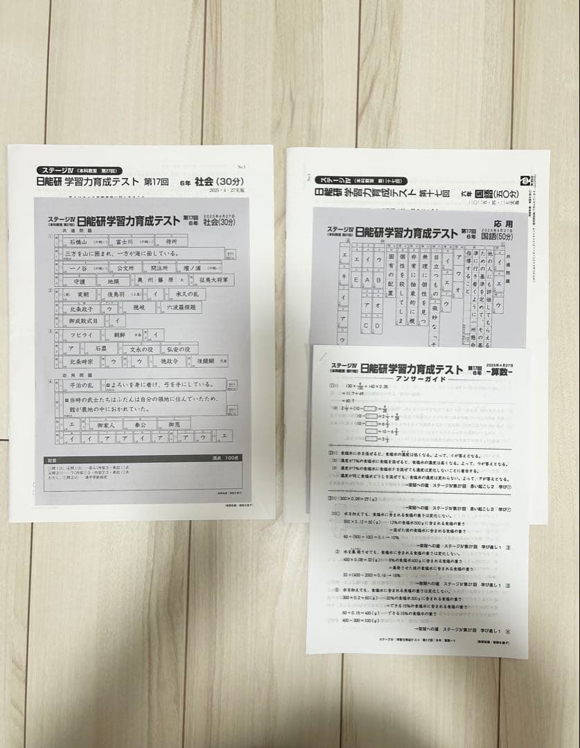 日能研 育成テスト★6年 前期(6/8までの12回分) 2025年度 最新版★