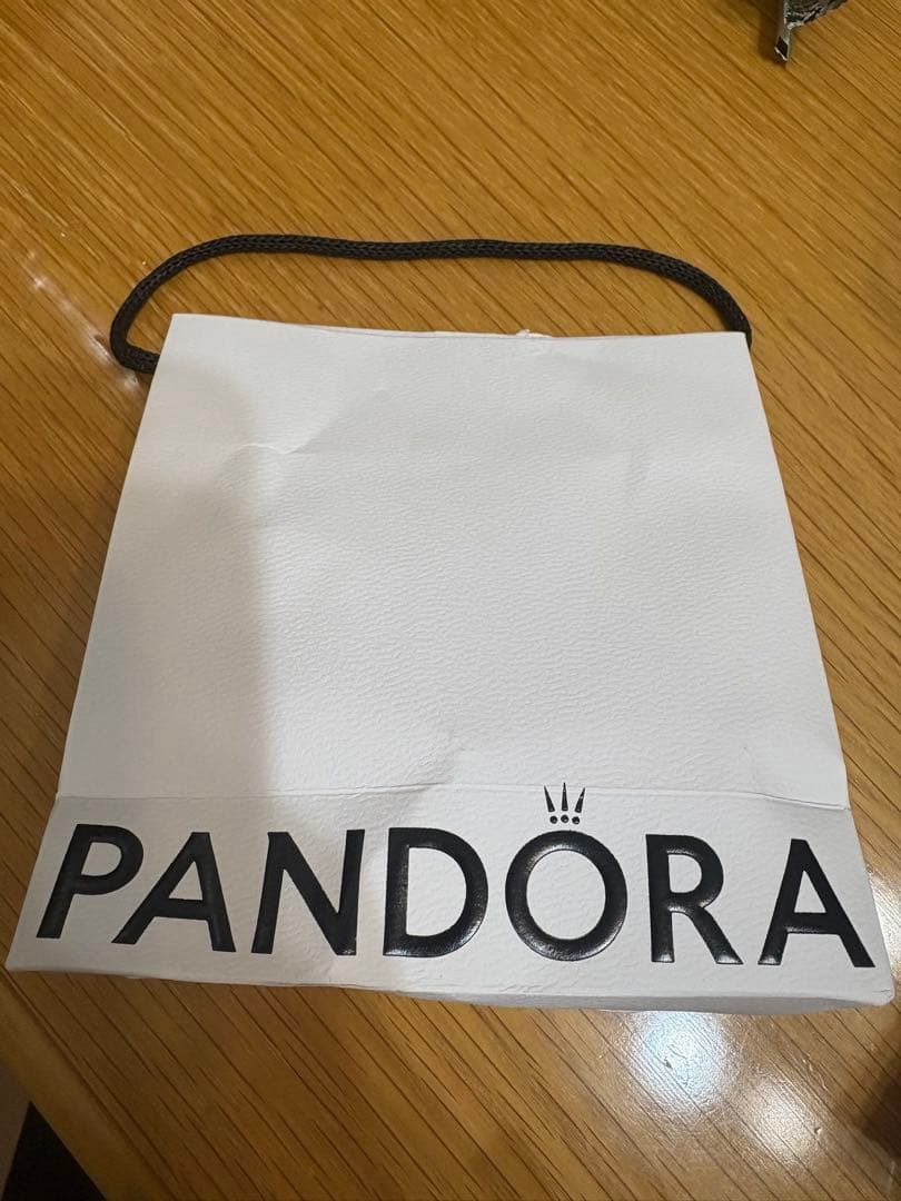 Disney Pandora ブレスレット　チャーム マリーちゃん、パリ