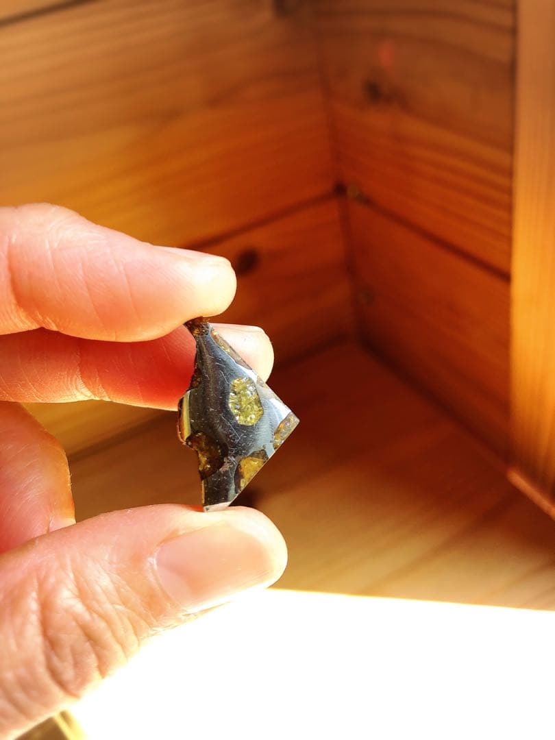 貴重　隕石　イミラックパラサイト　最終値下げ