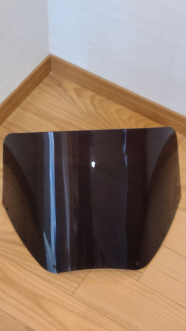 メンフィスシェード　ロードウォーリア　11インチ　ダークスモーク　シールド