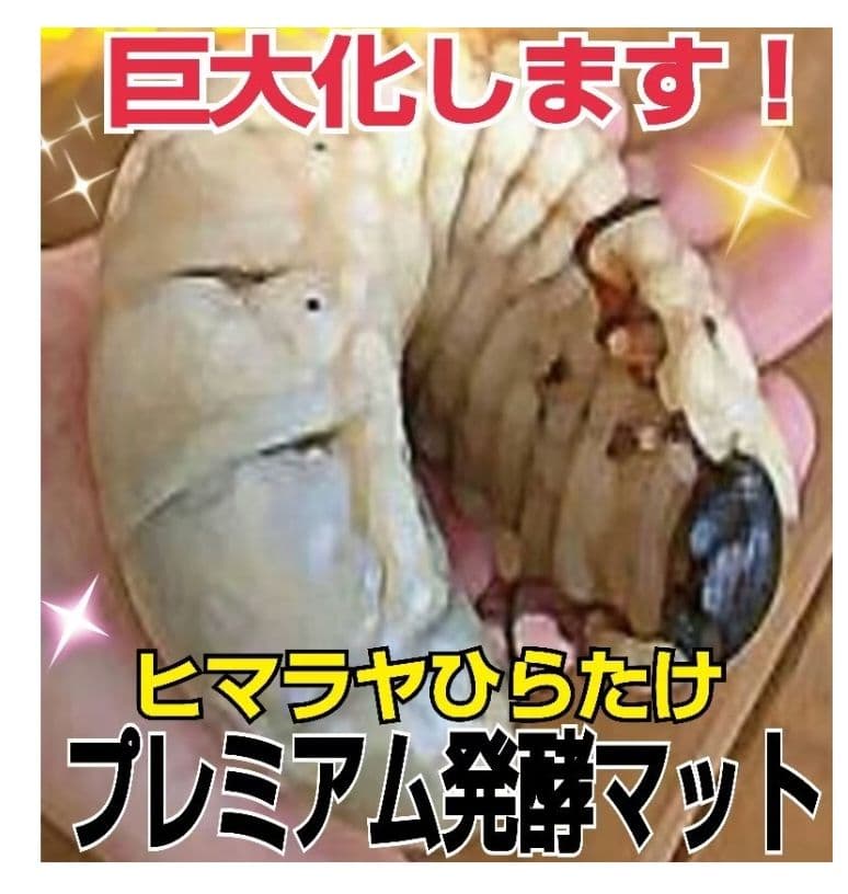 極上！プレミアム3次発酵ヘラクレスマット【4袋セット】幼虫巨大化！産卵にも抜群