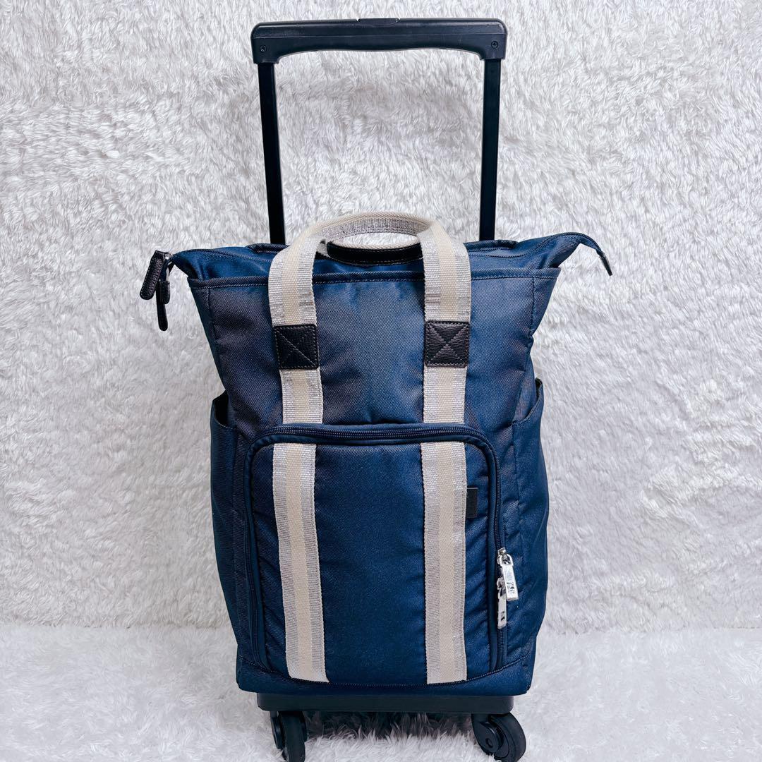 SWANY スワニー キャリーバッグ D-499 ドゥマーノIV L21 希少