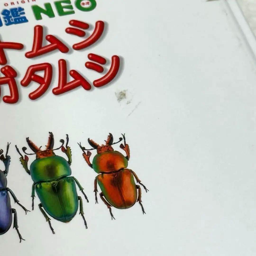 小学館の図鑑NEO 全巻20冊セット