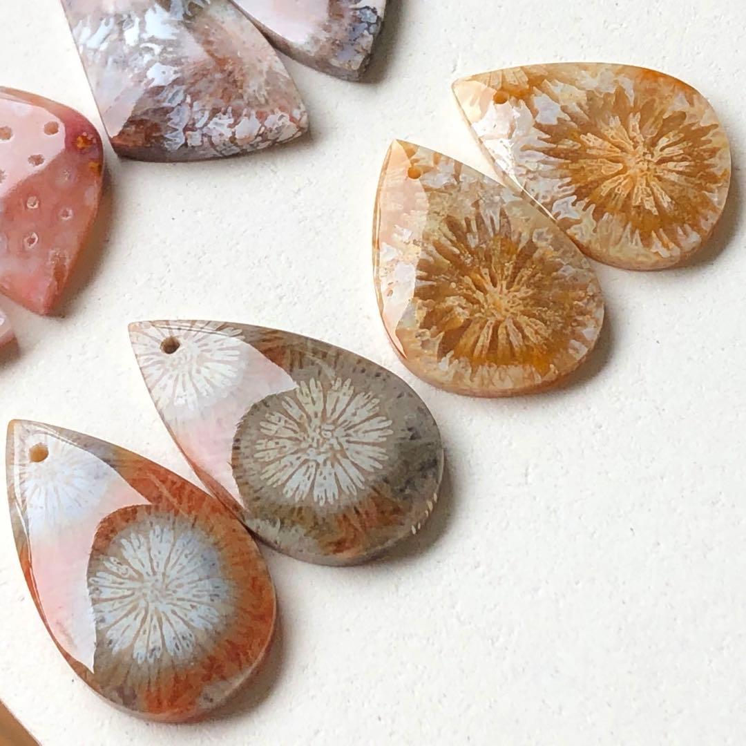 天然石♡フォッシルコーラルのピアス14kgf