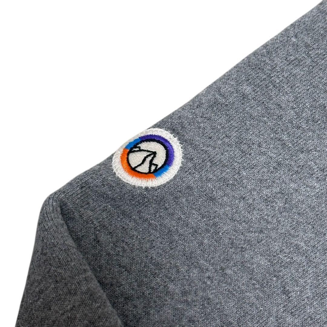 【極美品】 パタゴニア フィッツロイ アイコン アップライザル フーディ