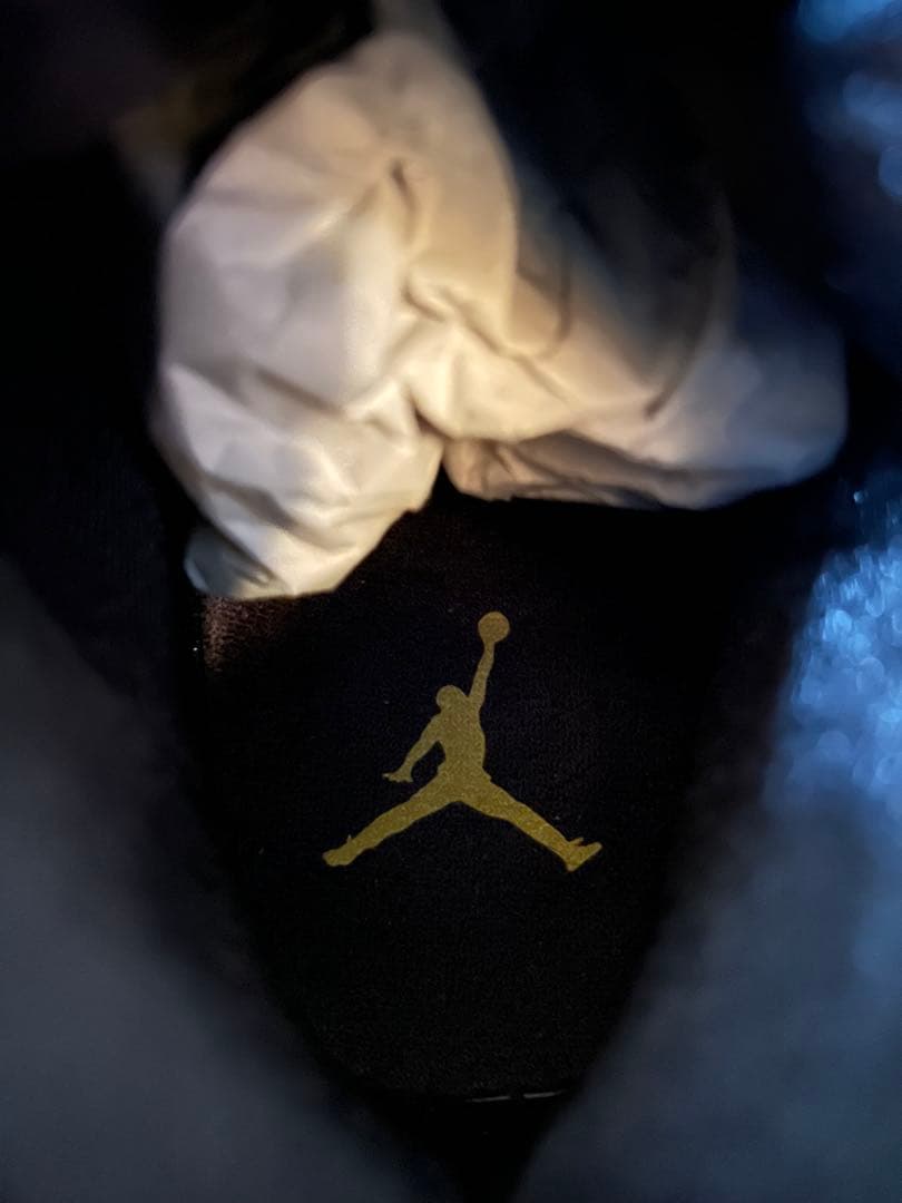 靴 Nike Air Jordan 11 Retro Gamma 2025 27cm