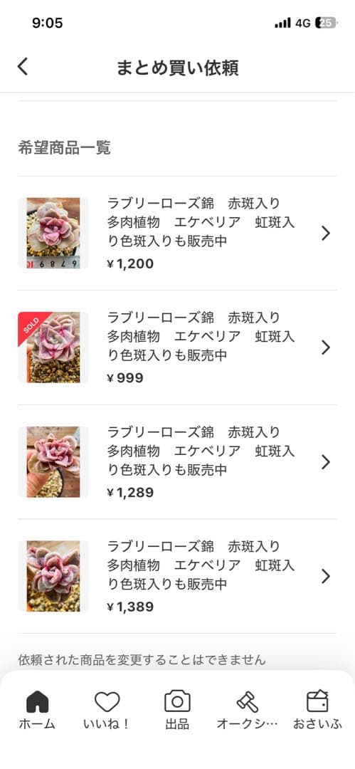 多肉植物　専用