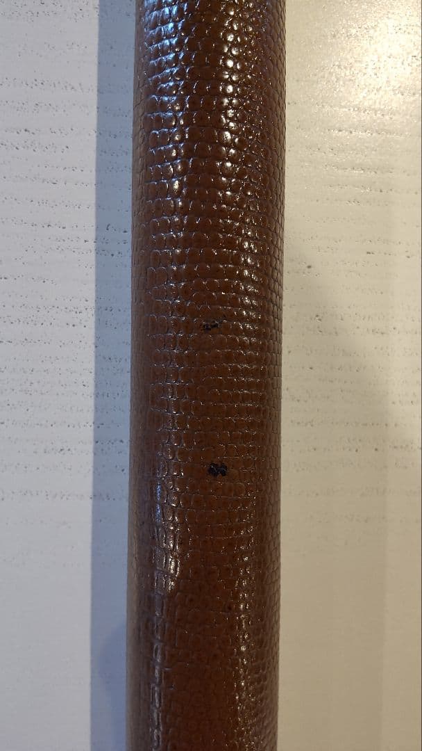 メウチキュー　カメオ