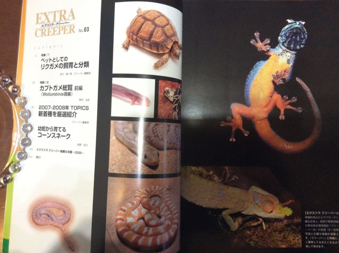 EXTRA CREEPER エクストラ・クリーパー 全4冊 誠文堂新光社