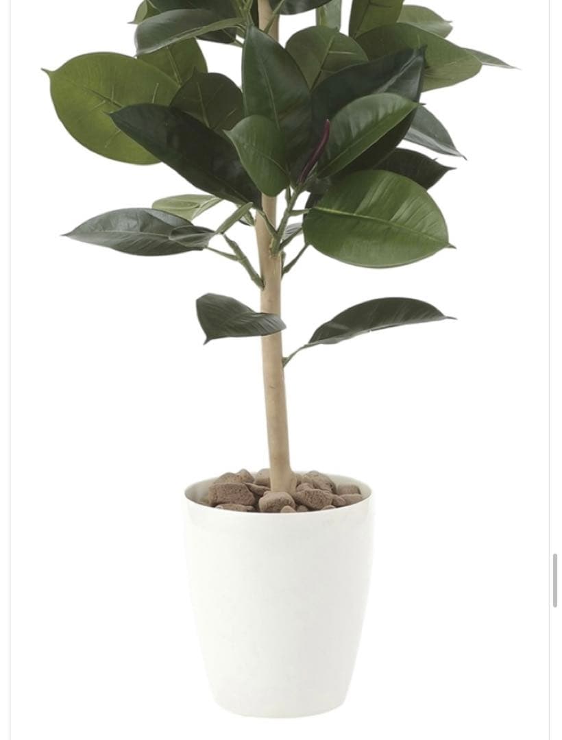光触媒　人工観葉植物　ウォールグリーン　フェイクグリーン　ゴムの木90